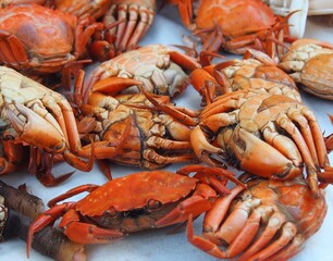Sea crabs, cooked. In Cádiz they are called Moorish crabs