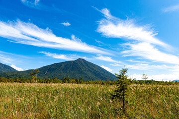 奥日光　戦場ヶ原と男体山