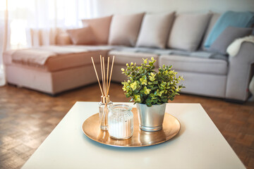 Decoration, hygge and aromatherapy concept - Aroma reed diffuser, burning candle, branches of green plant and perfume on table at home. Scent sticks aromatic in jar on table