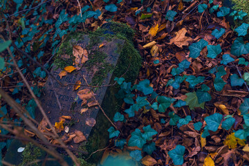 Old graves that nobody cares about anymore, old overgrown graves in a cemetery, autumnal, dark