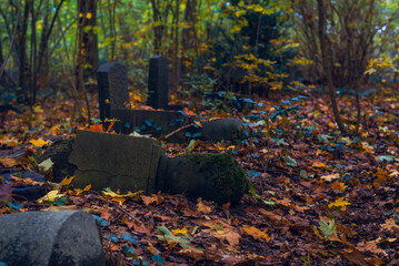 Old graves that nobody cares about anymore, old overgrown graves in a cemetery, autumnal, dark