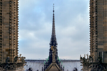 Art and architecture from Notre Dame roof
