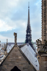 Art and architecture from Notre Dame roof