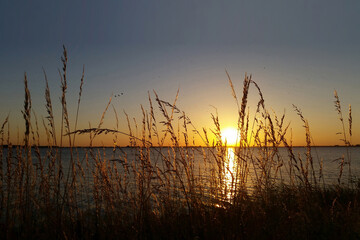 sunset at the Ijsselmeer, Holland