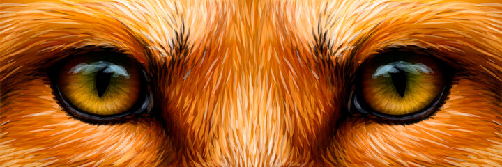 Red fox. Fox eyes close-up. Digital vector graphics.