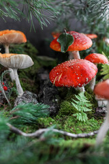 Forest fly agarics on green moss with fern and pine branches. Decorative composition made of amanita and natural materials. Red mushrooms.
