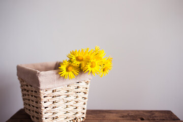 bouquet of yellow flowers daisies in a basket