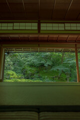 京都　日本　お寺　広告　写真　素材　日本庭園　数寄屋造　紅葉　春　夏　秋　四季　自然　歴史　観光　旅行　