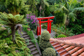 Red tori in exotic Asian garden