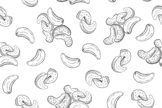Seamless pattern with cashew nuts. Line art style.