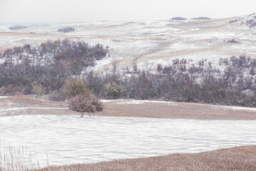 snowy day in landscape