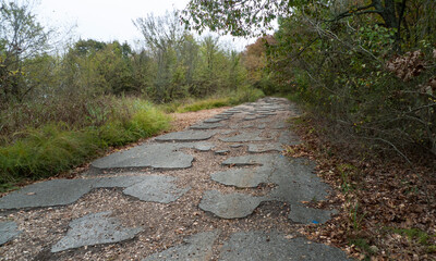 Road through the forest with erosion