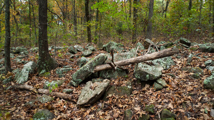 Fototapeta na wymiar Forest trail in early autumn with large rocks