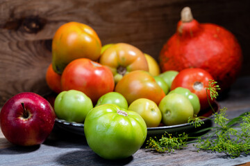 Pumpkin, apples and organic green, red, yellow, orange tomatoes on wooden table