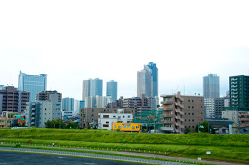 Fototapeta premium 武蔵小杉の高層ビル群