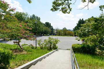 Fototapeta na wymiar 新石川公園