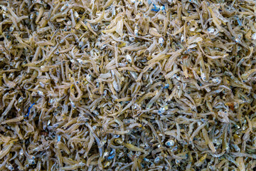 A stack of dried anchovy