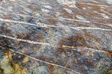 Sea stone texture. Panel texture. Background fill. Natural stone background.