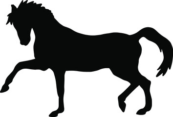 Black silhouette of horse. Vector illustration 