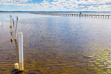 Water birds sitting on posts in the water at The Entrance in regional Australia