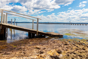 Fototapeta premium Water birds sitting on posts in the water at The Entrance in regional Australia