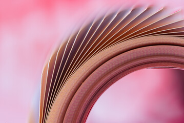 Colorful Rolled Up Paper Close-up