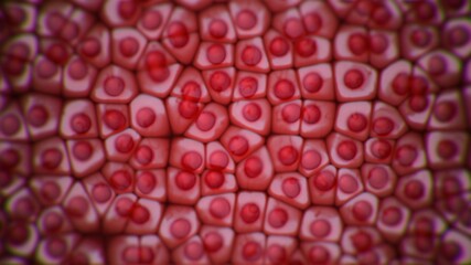 Animal or human cell view under the microscope. Health care. Laboratory experiment with organic material. Cell stem. Virus. Medical, Biological, Scientific cellular Illustration. 3D Render