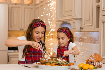 Two little girl sisters cook at home Christmas dinner for Christmas