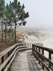 Processed with VSCO with  preset