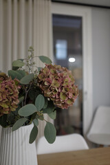 Indoor decoration plant in bloom on a white pot on a modern wooden and white lounge