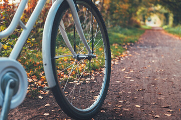 Fototapeta premium Vintage bicycle in autumn forest