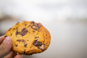 Hand Holding a Chocolate Chips Cookie with a Blurry Gray River as Background