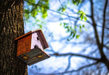 Casa pajarera en el árbol