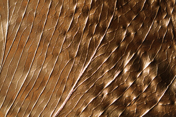 The texture of monstera leaf painted in gold color. Gold pattern. Abstract background.