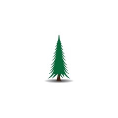 Spruce icon