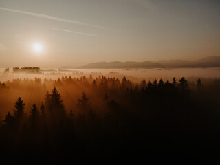 Traumlandschaft Sonne, Nebel, Bäume, Licht im Abendrot