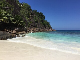 Fototapeta na wymiar Beach in Seychelles