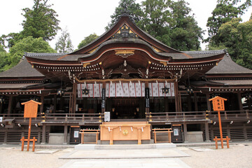 Fototapeta premium 大神神社