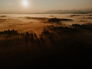 Traumlandschaft Sonne, Nebel, Bäume, Licht im Abendrot