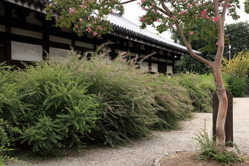萩の花咲く元興寺
