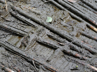 滑り止めの竹の棒を敷いた泥道