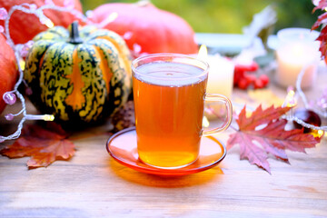 close-up of green tea in glass on saucer over wooden table in nature background, pumpkins lie, candles are burning, outdoor morning concept, seasonal autumn mood, healthy lifestyle
