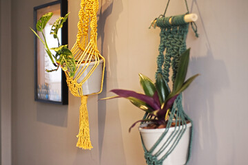 Macramê com plantas como decoração de parede