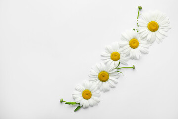 Fototapeta na wymiar Beautiful chamomile flowers on white background, top view