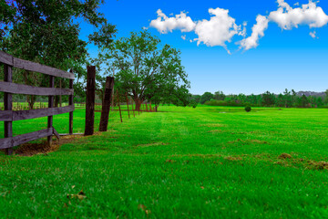 Obraz premium Beautiful Green Field In Country Side Landscape With Old Fence