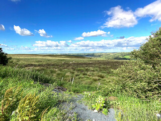 Fototapeta na wymiar Landscape, from the side of, Asquith Moor Road, with extensive moors, and distant hills near, Askwith, Harrogate, UK