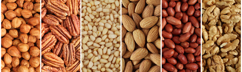 Nuts collage, long banner – hazelnuts, pecan nuts, cedar nuts, almonds, peanuts, walnuts.