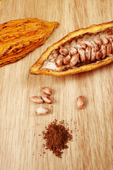 Fresh cacao pod