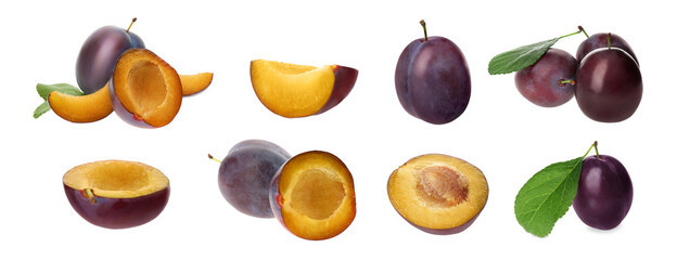 Set of fresh ripe plums on white background. Banner design