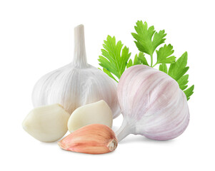 Fresh garlic with parsley on white background
